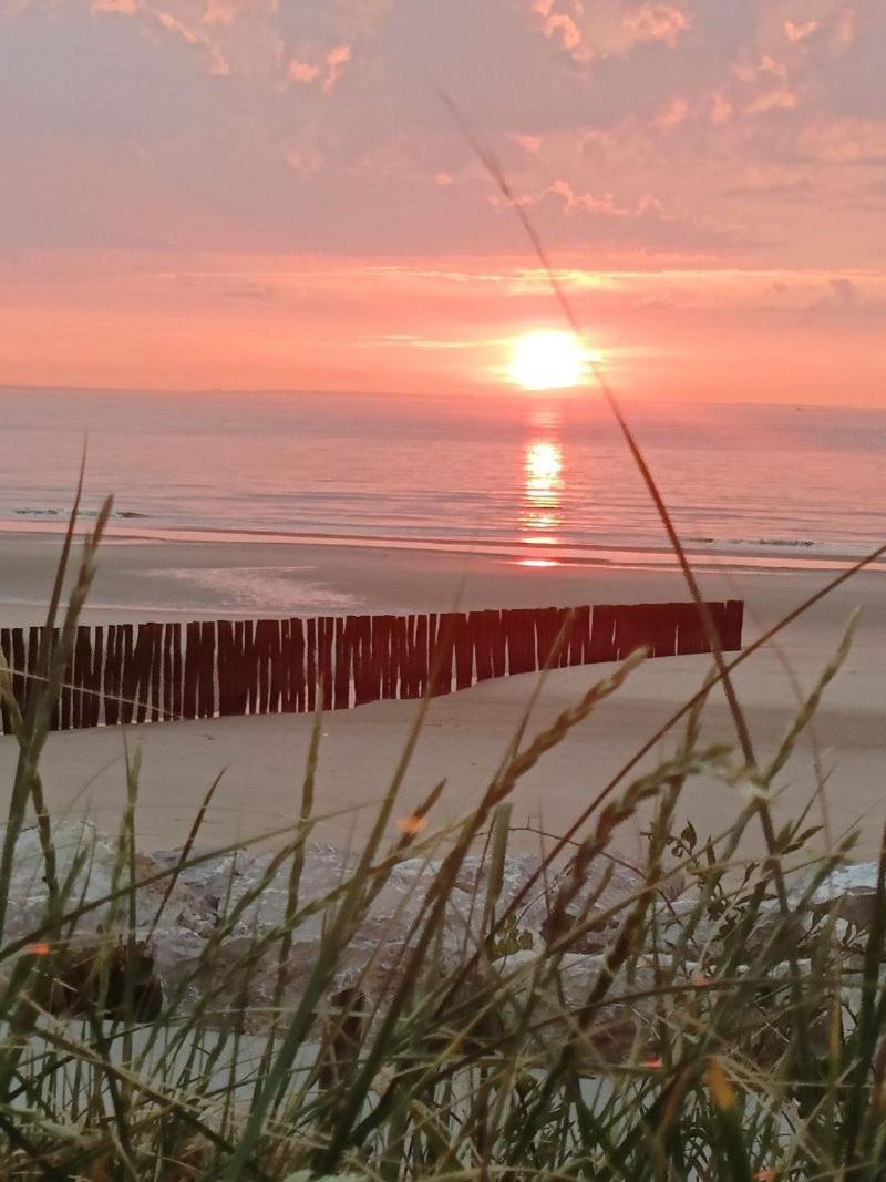 Sangatte Guest House - Studio Room Sunset - Seafront Eksteriør bilde